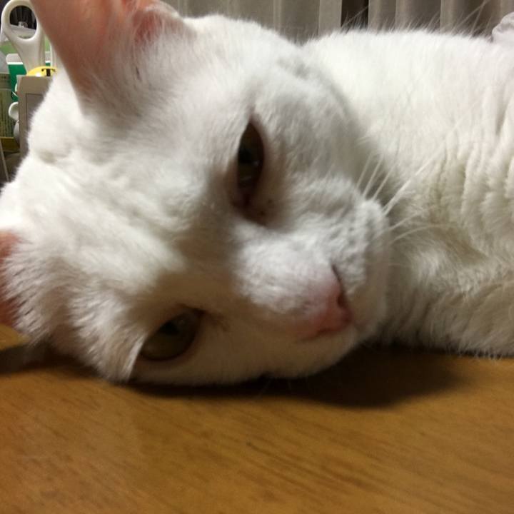 404e0cd2 6941 4d49 adcd ce35fc526cb3