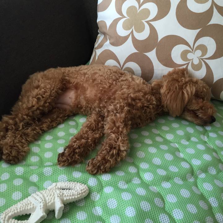 40504e53 e794 4d0f bdcf e01c3923089e