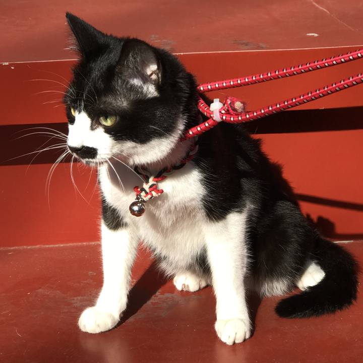 40507c44 4dbb 41ee b6e7 3be2715eb6de