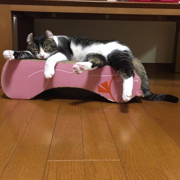 4050c208 1118 4dda a1a2 8d7a56508c30