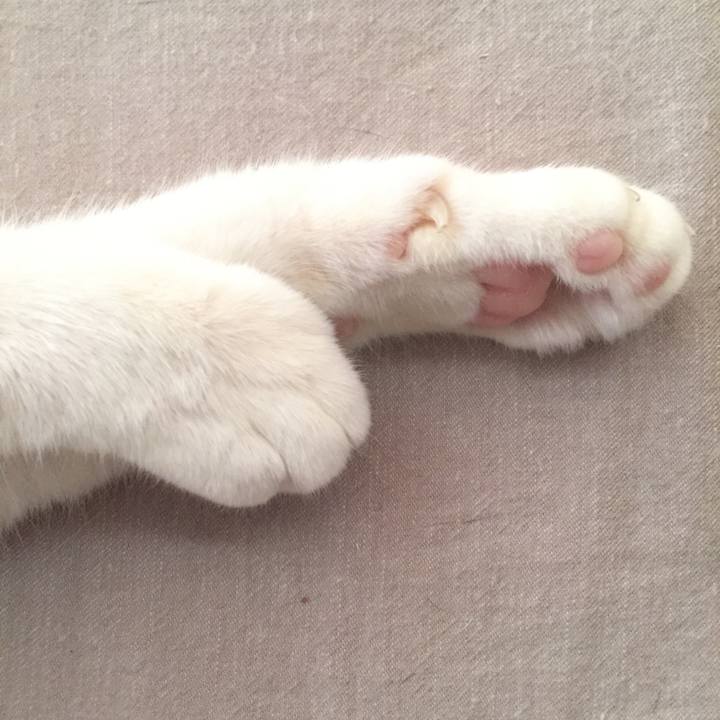 405117f8 bc59 4b73 8866 b3aec0595784