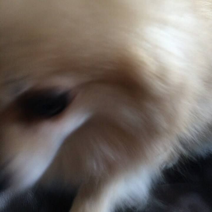 405139f4 49d4 4b9a 8094 c8ce70c4df99