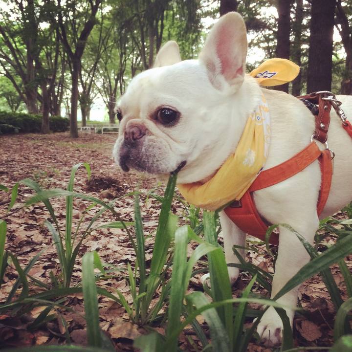 4051b9f0 9f47 4d7d bb31 bd038868c7b7