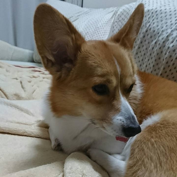 405225bd 7c3c 45fd b109 28a56ea90b5d