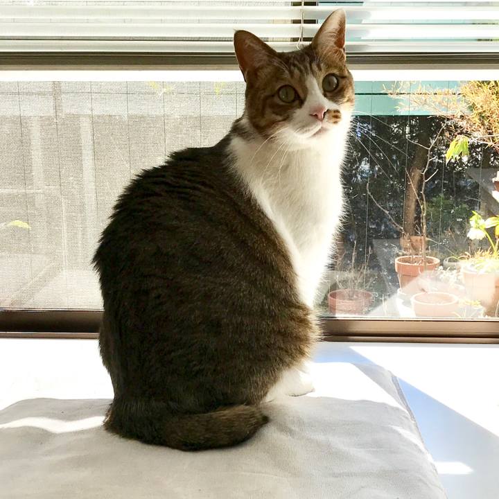 4052770f 1b13 417a a5d5 4d0ebe50e38e