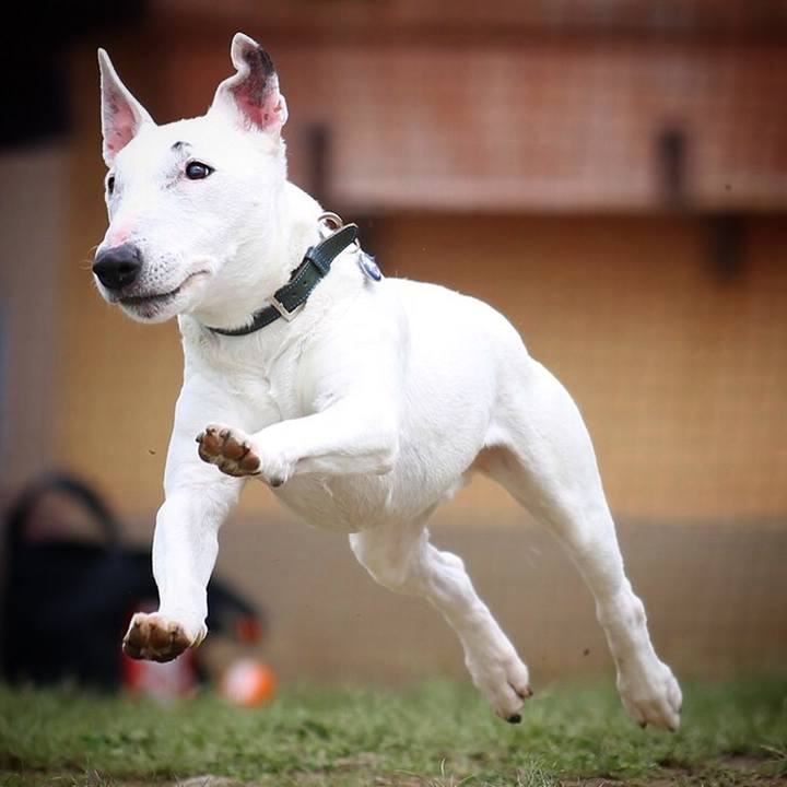 4052ce5d 8a11 4302 8bbf 75595655601a