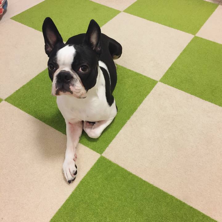 4052cfbd 1d81 4466 8e9c 6ef247637ac5