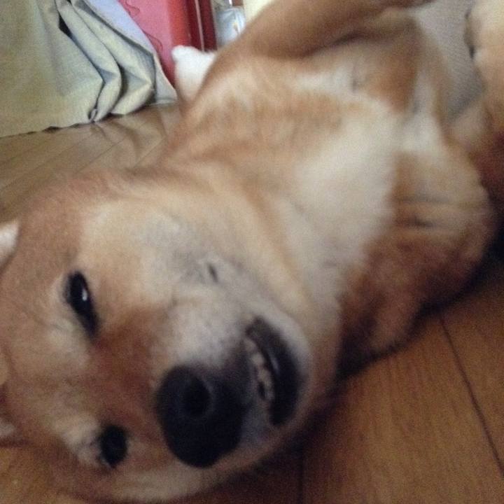 40533e7c bba3 48e9 98e3 fceacce2d773