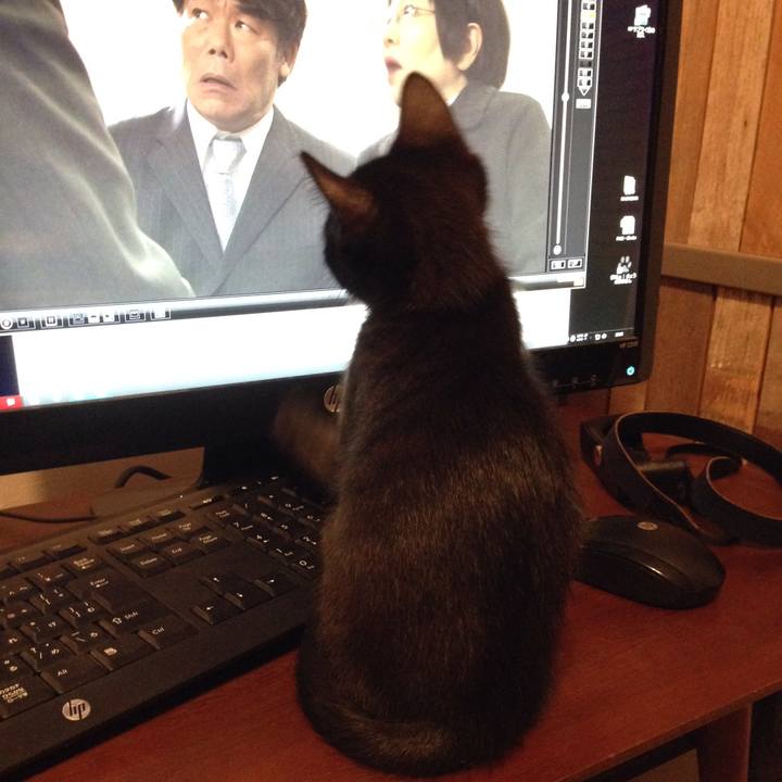 4053480f 2d71 4a90 884b b9f60157ff8b