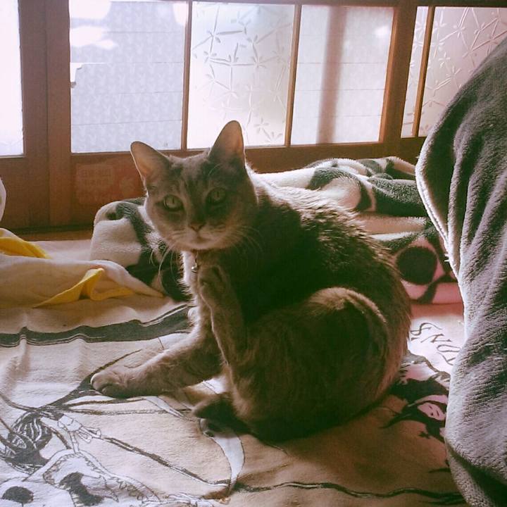 4053bd7a 7fc9 43ef 9f43 c1dea1efeff1