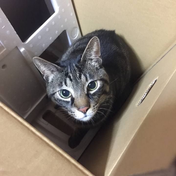 4054b231 b1ff 4c68 b2e8 52f561d03f5f