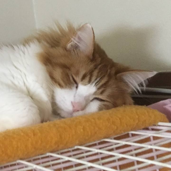 40553cbf 7487 416e 8f84 02d876624e70