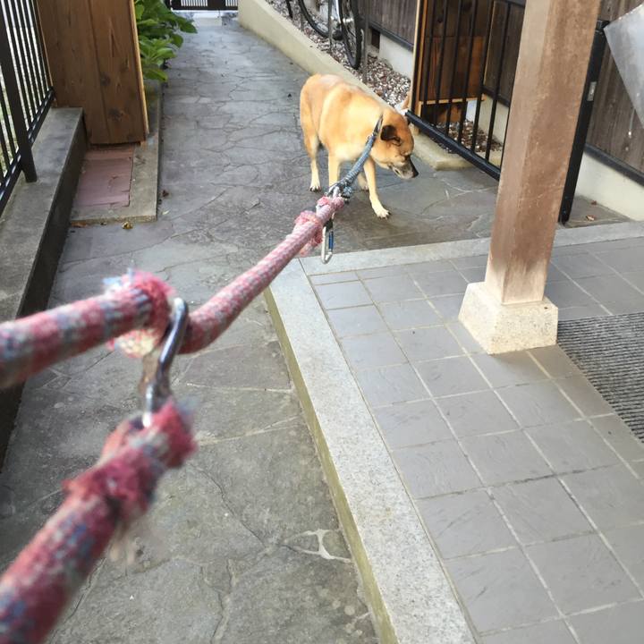 405545ac fe86 417c afc9 cc1156d8da53