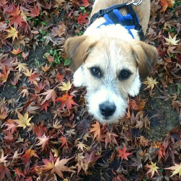 4055dda8 61fe 492a bc4f a73707f39acd