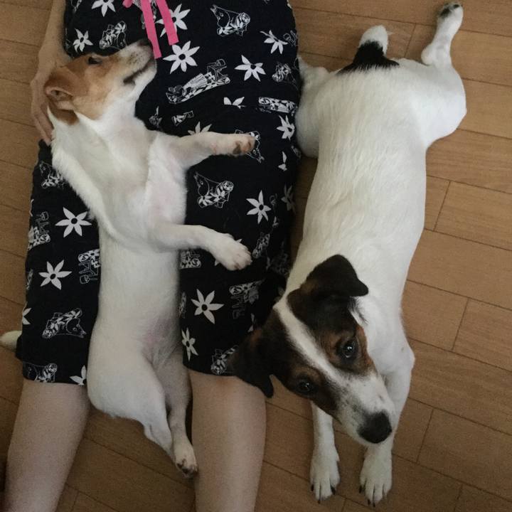 4055ff73 afab 4a3a 9110 5eea6fc882f3