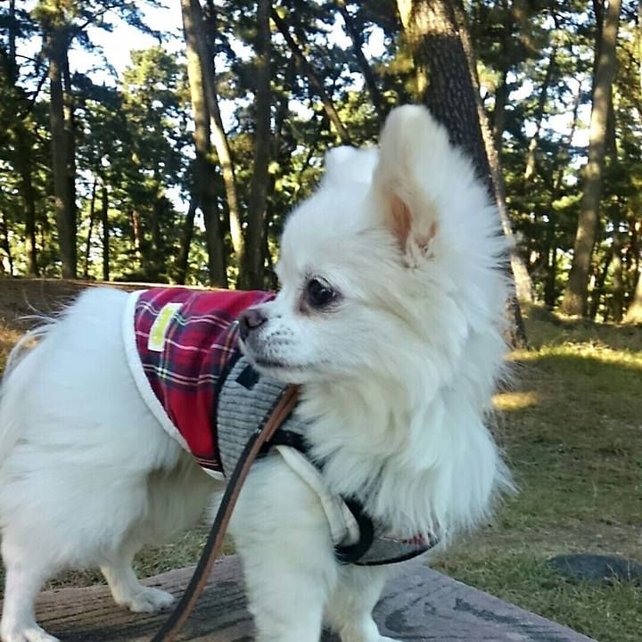 405633f1 04f7 4d80 8738 a69b2cf8ee0f