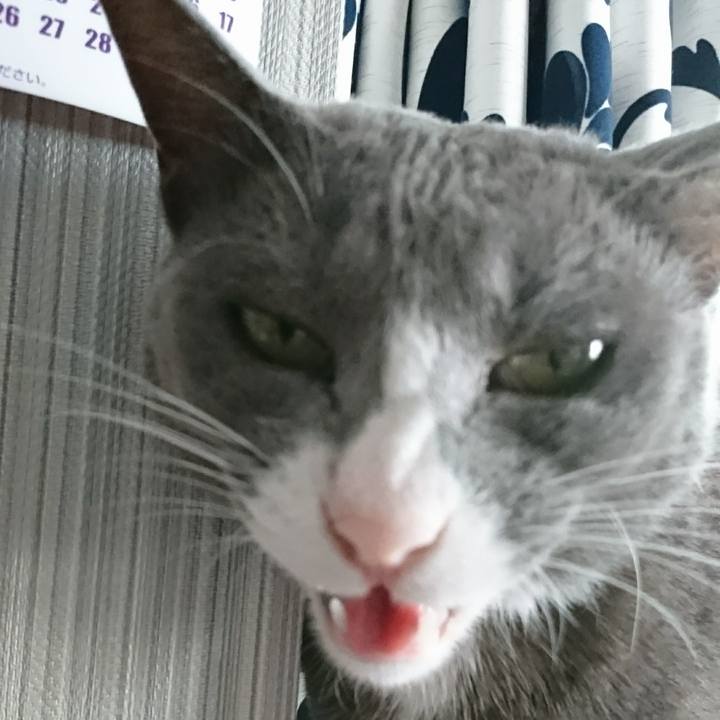 40567671 666c 4ee3 8148 b885e5f873be