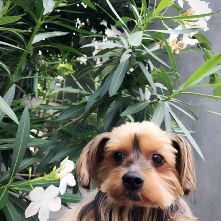 40576455 bc34 4c53 b76d bd0d6d578382