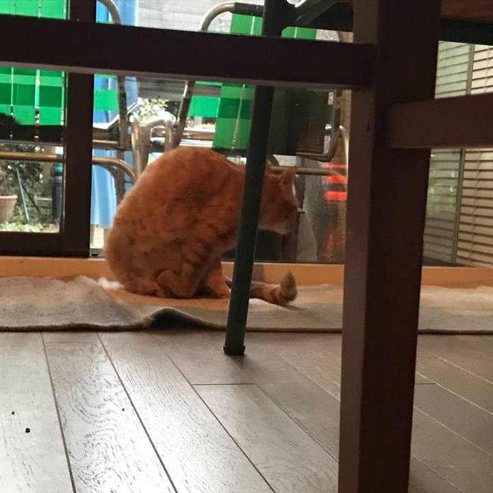 4058d6fd dab5 41b2 9150 ea0400c29c37