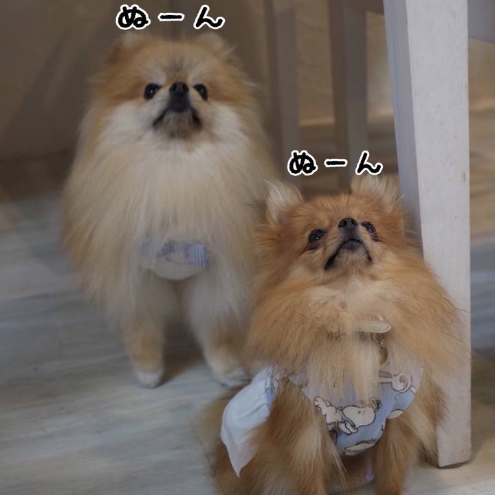 4058eaa8 430c 4328 8205 074640fee34a