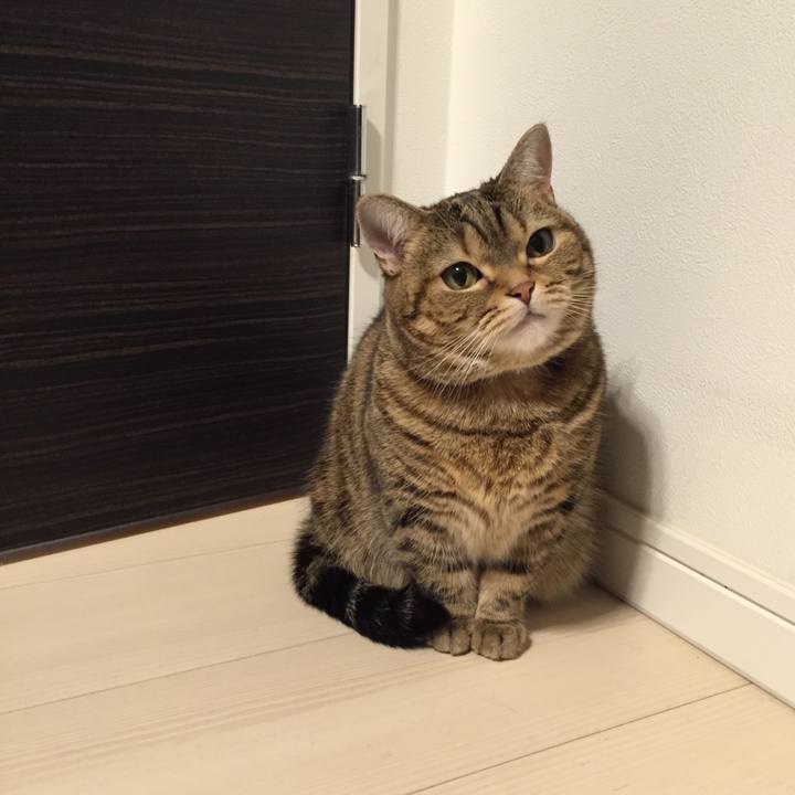 405966d7 1ef6 4b3d 99a4 213a507c0f49