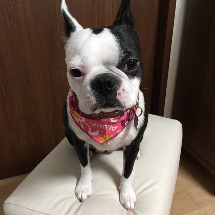 4059ae90 f2de 4d31 906f 6f4513231a5c