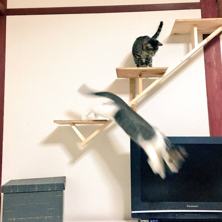 4059c888 6b41 406e 8d1a e97bfec761c5