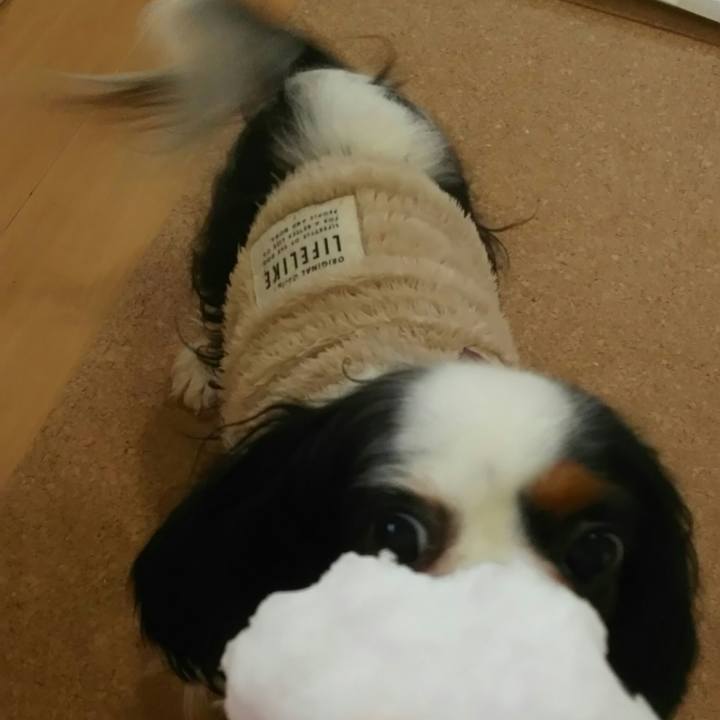 405ad1c1 65ee 4b52 bdea b102853acf5c