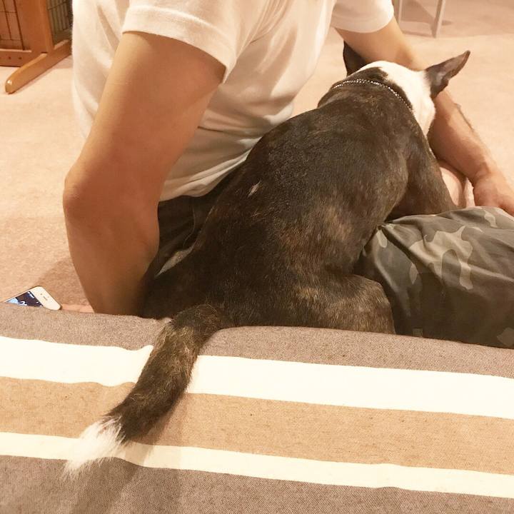 405b0589 d021 49e0 93cc 00c294ecc4e5