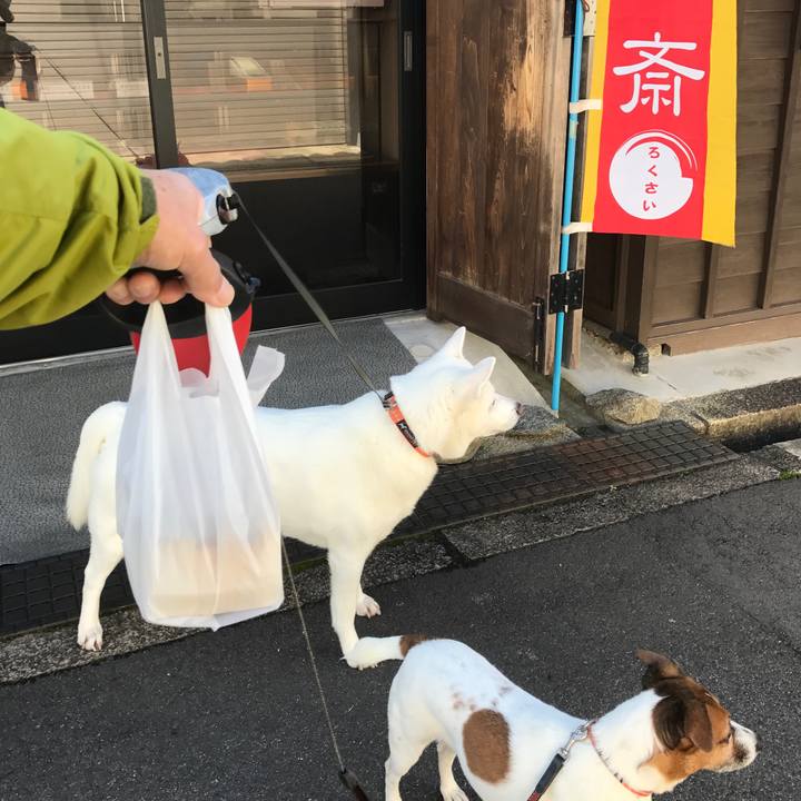 405b6c02 41a9 4dad b564 a79f2629cd66