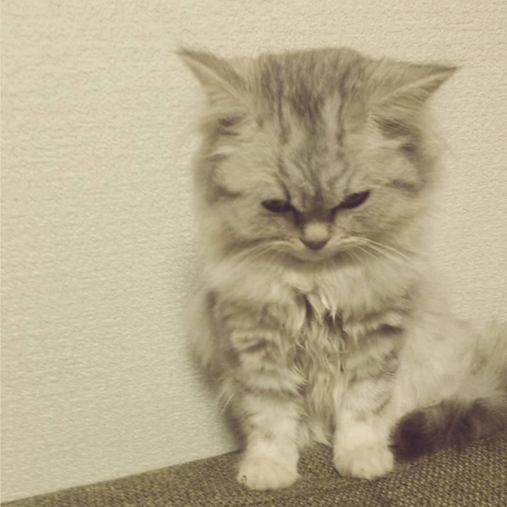 405b8aeb e756 4481 a340 164d25761016