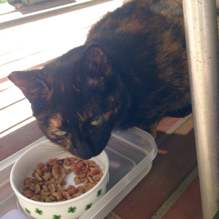 405c0563 d105 403b 8cdf cc87e91560f3