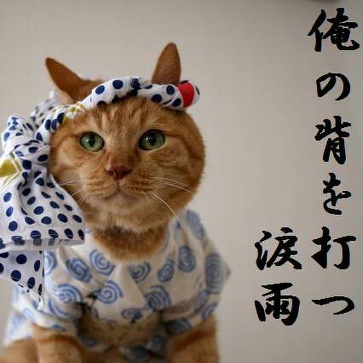 405c4520 cbf7 4530 adb0 85c794989b45