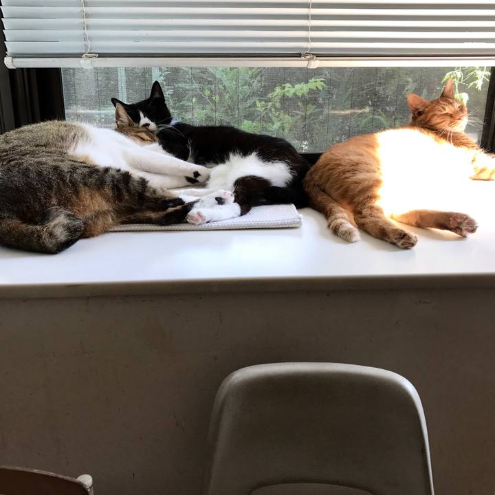 405c6dec e0ed 4ad1 805c 4004f0e1d292