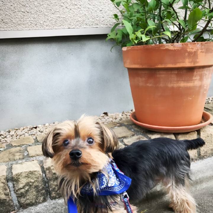 405c86ec 1a1f 41ef b6b5 0d3ae370456f