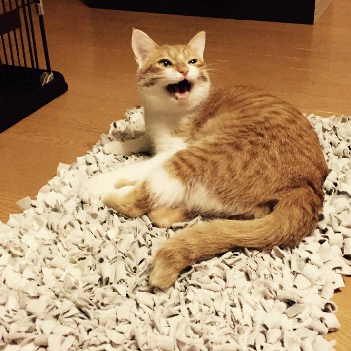 405ca52f 1898 4857 8031 2267ea07439b