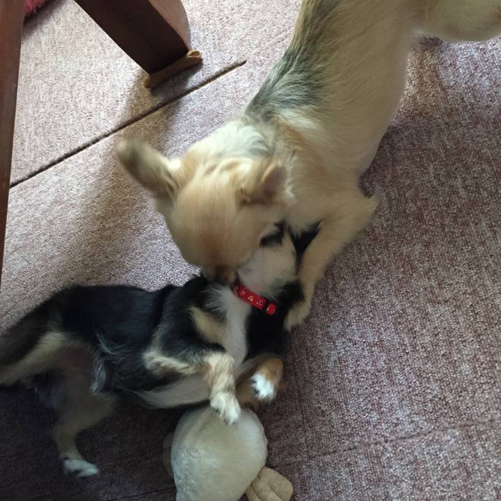 405cb187 ab4a 41a1 963c d998f5576773