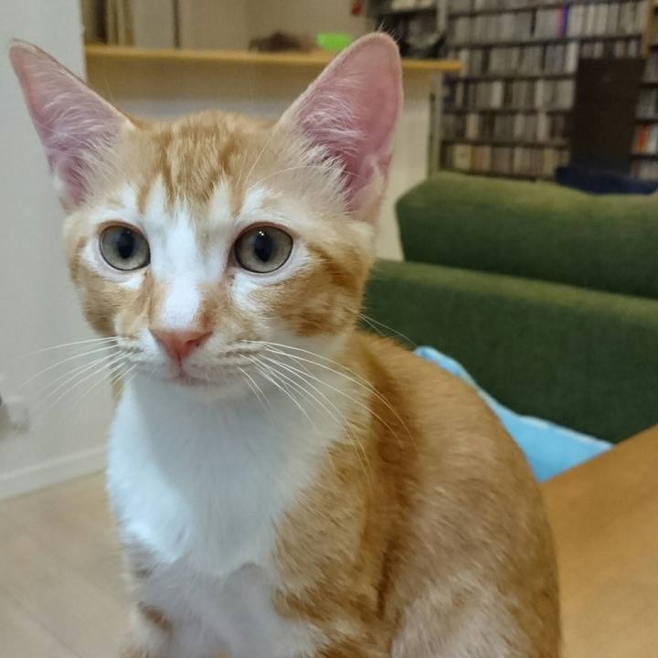 405cea8e ada2 45d6 b610 c8531690f99a