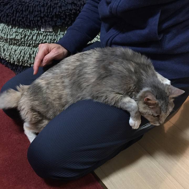 405da9f1 a3fa 4892 8488 3698218b08b1