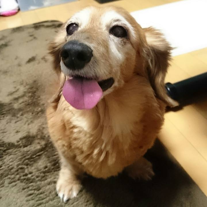 405e92f7 55f3 4225 b153 55078a94b3ea