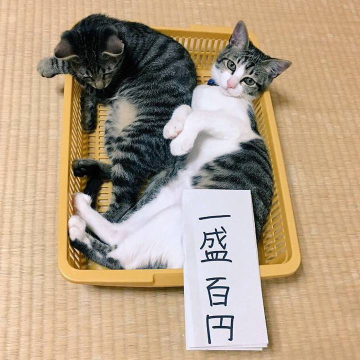 405f291b ab9a 4109 9ad1 9321a055dd57