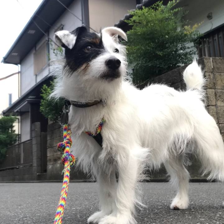 405fb894 c986 42a7 a3c9 04e70c49a656