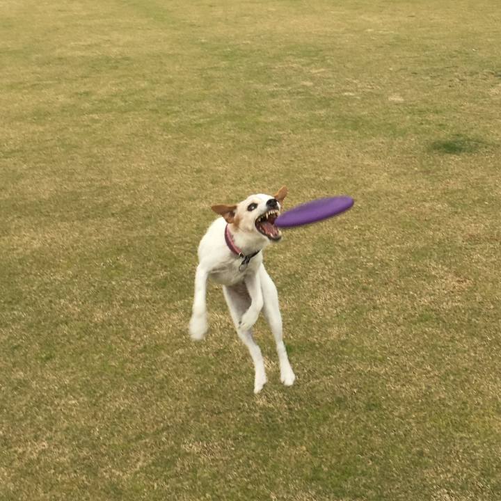 40603aff df12 4c61 9629 e83a069ea0de