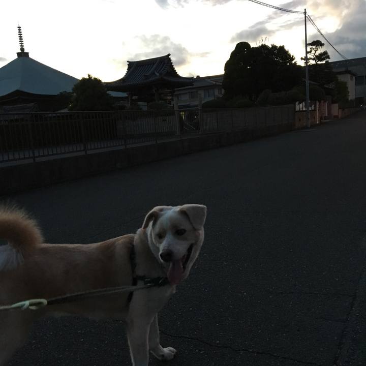 40604ee0 e38e 42a0 bda6 903dd1b76586