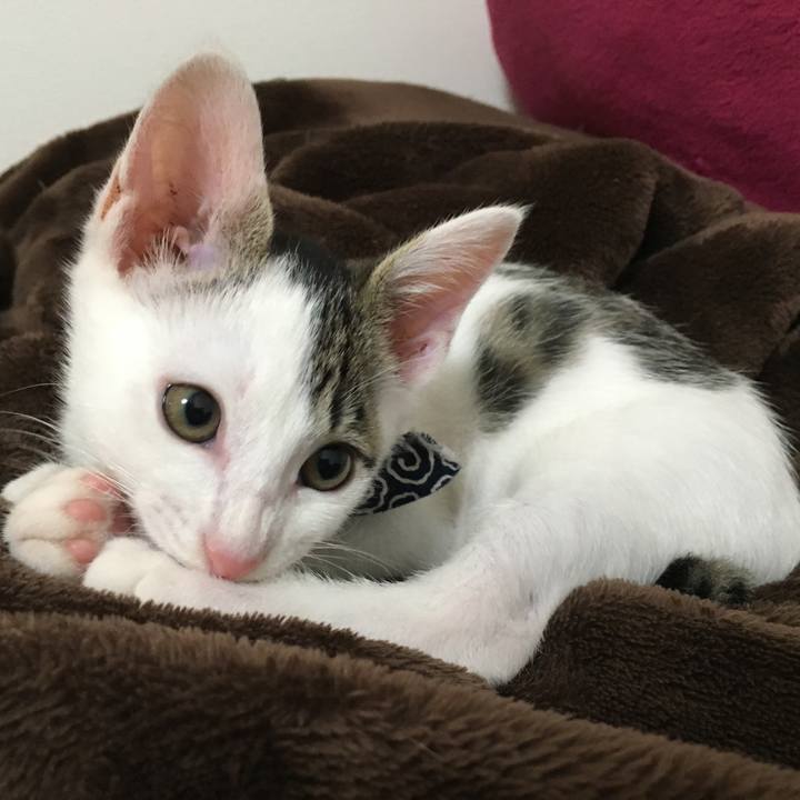 4060eaf9 a33d 4b78 ae7f a773ffdee46f