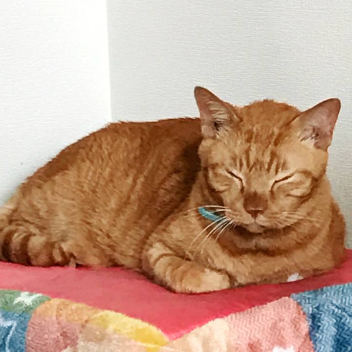 4060f1bb c504 4db5 933e 954058aecee1