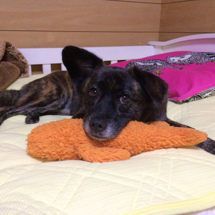 40612747 268b 4196 8aef c32b4b12dc86