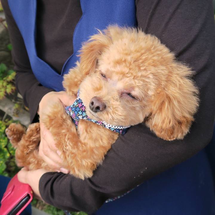 4061b4bb 8ae8 4608 bb7f fd7a9614451a