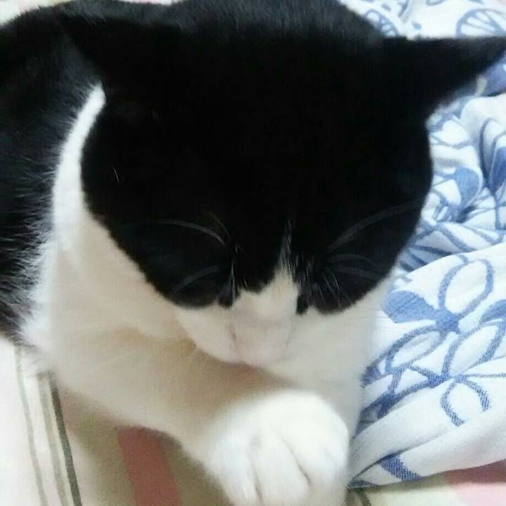 4061ce95 7c16 472a be2a 51e9f1dae24c