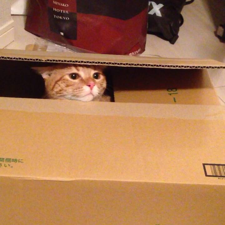 4061dbdf 0b16 4abe 8238 c0b05f21420f